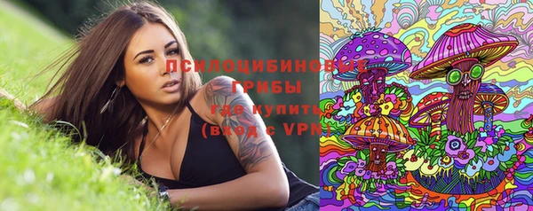 первитин Богданович