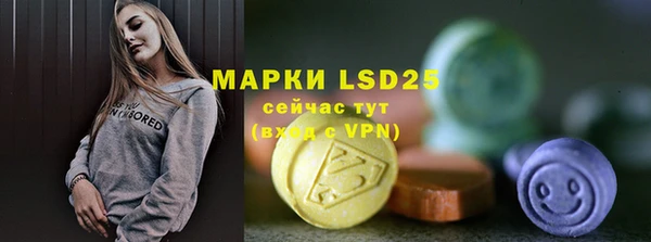 первитин Богданович