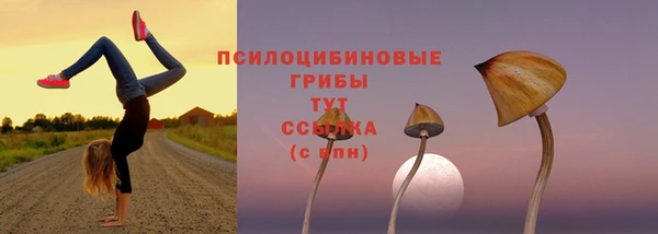 дмт Богородск