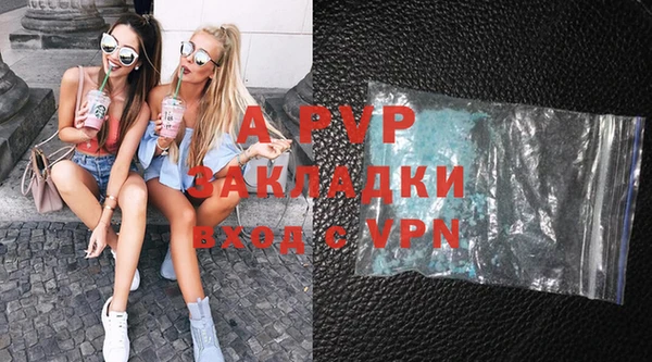 первитин Богданович